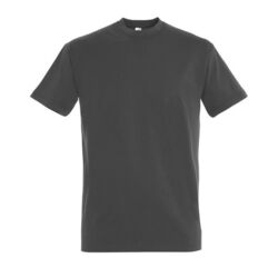 T-Shirt Homme Imperial Rungis
