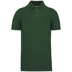 Polo Bio 180 K2025 Rungis