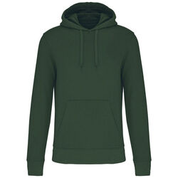 Sweat-shirt &agrave; capuche K4027 Rungis