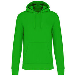 Sweat-shirt &agrave; capuche K4027 Rungis
