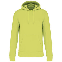 Sweat-shirt &agrave; capuche K4027 Rungis