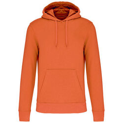 Sweat-shirt &agrave; capuche K4027 Rungis