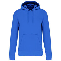 Sweat-shirt &agrave; capuche K4027 Rungis