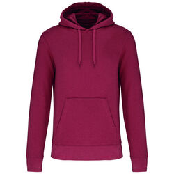 Sweat-shirt &agrave; capuche K4027 Rungis