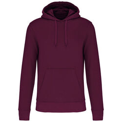 Sweat-shirt &agrave; capuche K4027 Rungis