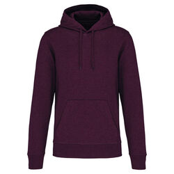 Sweat-shirt &agrave; capuche K4027 Rungis