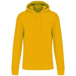 Sweat-shirt &agrave; capuche K4027 Rungis