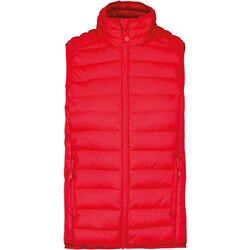Bodywarmer Homme Doudoune L&eacute;g&egrave;re Rungis