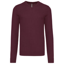Pull homme V-NECK Rungis