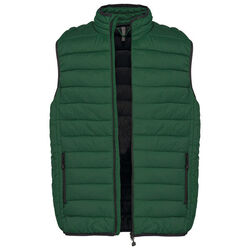 Bodywarmer Homme Doudoune L&eacute;g&egrave;re Rungis